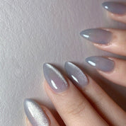 N-269 - Titanium Grey Shiny - Press On Nail Set Of 24 - Free 24 Pcs Sticker Sheet Included
