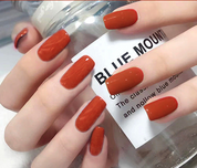 N-232 - Bright Red - Press On Nail Set Of 24 - Free 24 Pcs Sticker Sheet Included