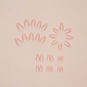 N-111 - Blush Pink - Press On Nail Set Of 24 - Free 24 Pcs Sticker Sheet Included